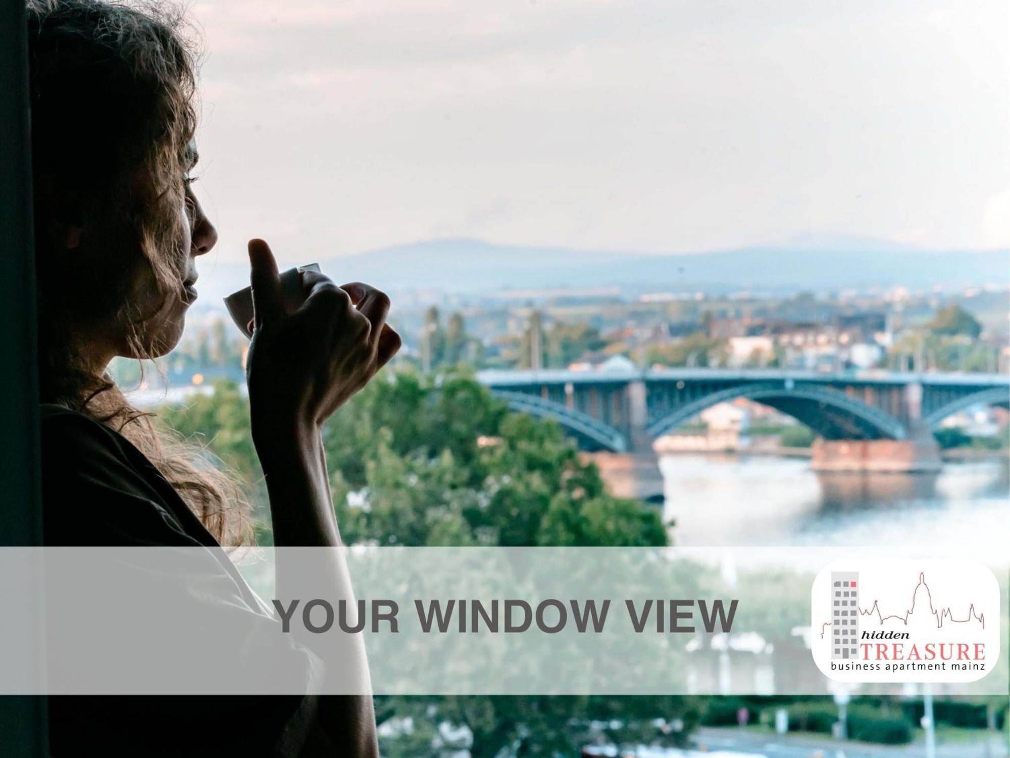 Hidden Treasure Business Apartment Mainz - Fantastic Rhine View In Center Of Mainz Old Town Екстер'єр фото