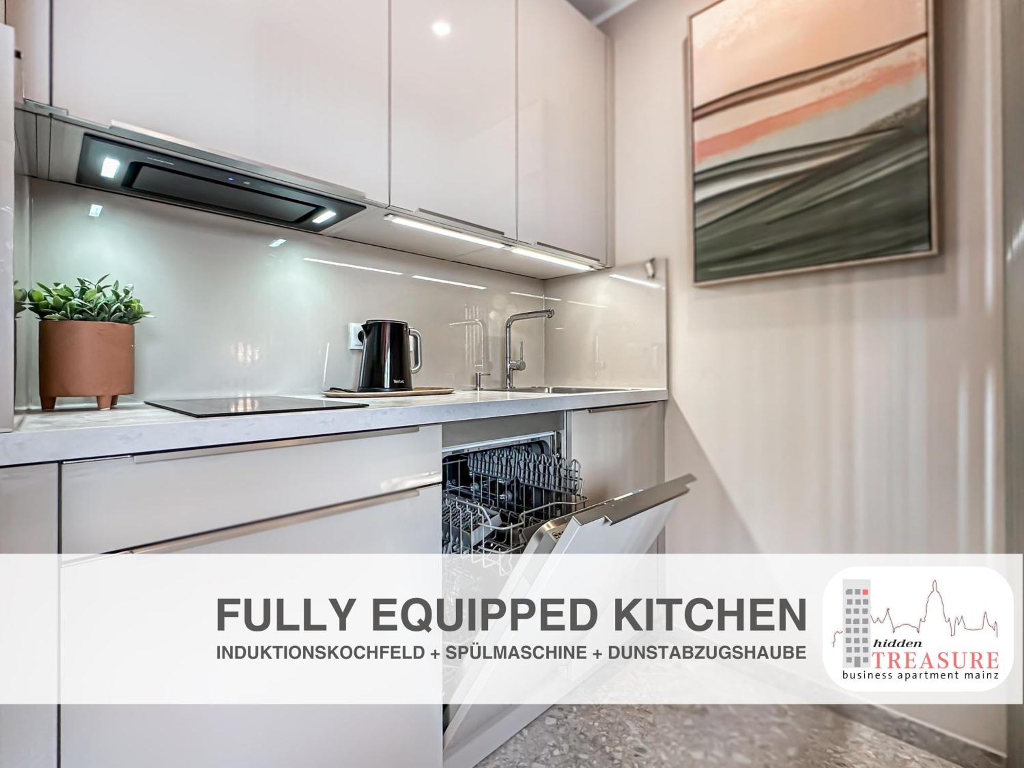 Hidden Treasure Business Apartment Mainz - Fantastic Rhine View In Center Of Mainz Old Town Екстер'єр фото