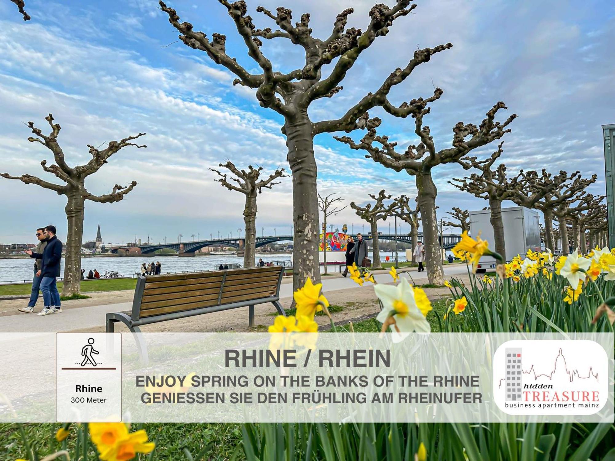 Hidden Treasure Business Apartment Mainz - Fantastic Rhine View In Center Of Mainz Old Town Екстер'єр фото