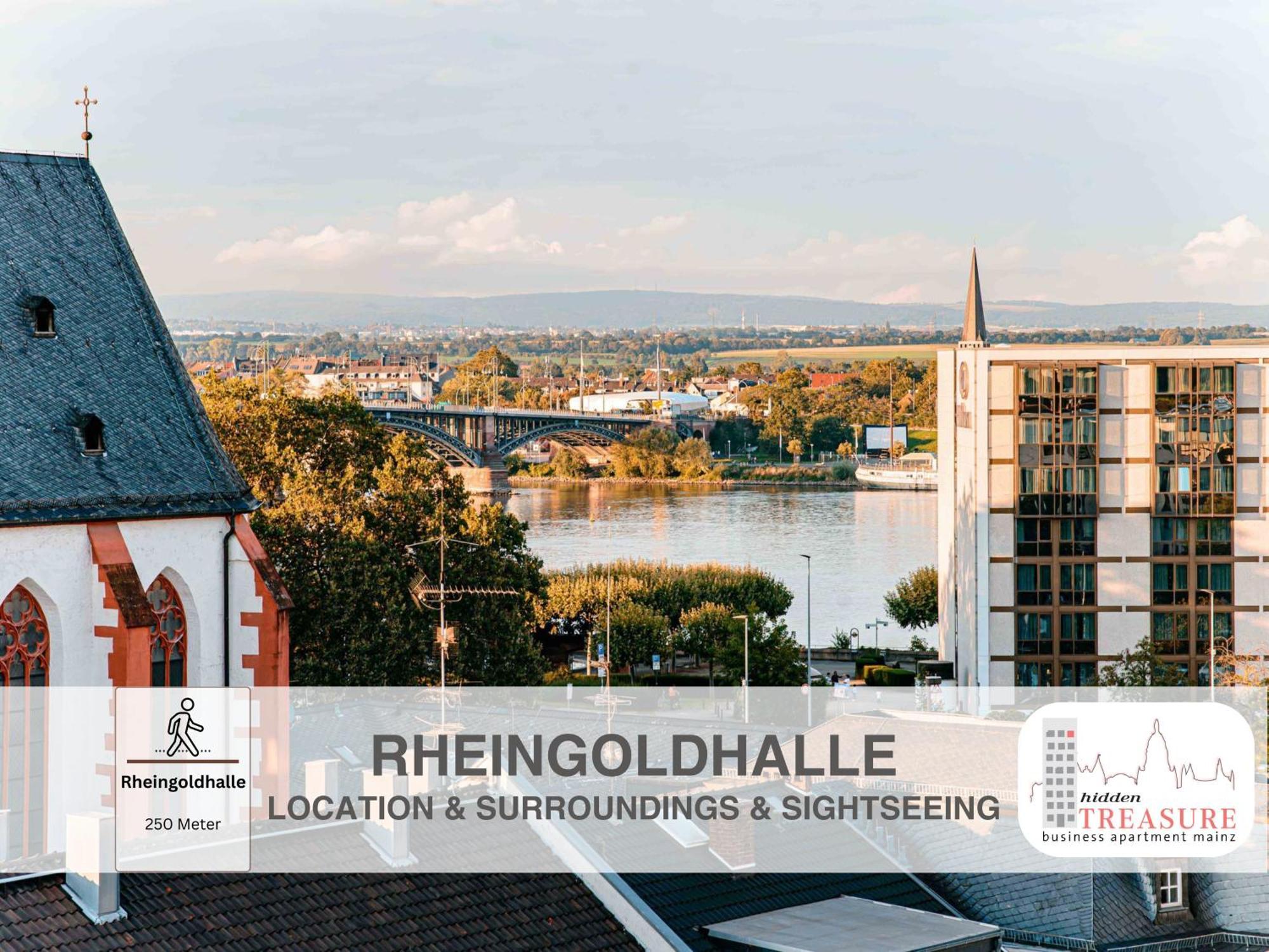 Hidden Treasure Business Apartment Mainz - Fantastic Rhine View In Center Of Mainz Old Town Екстер'єр фото