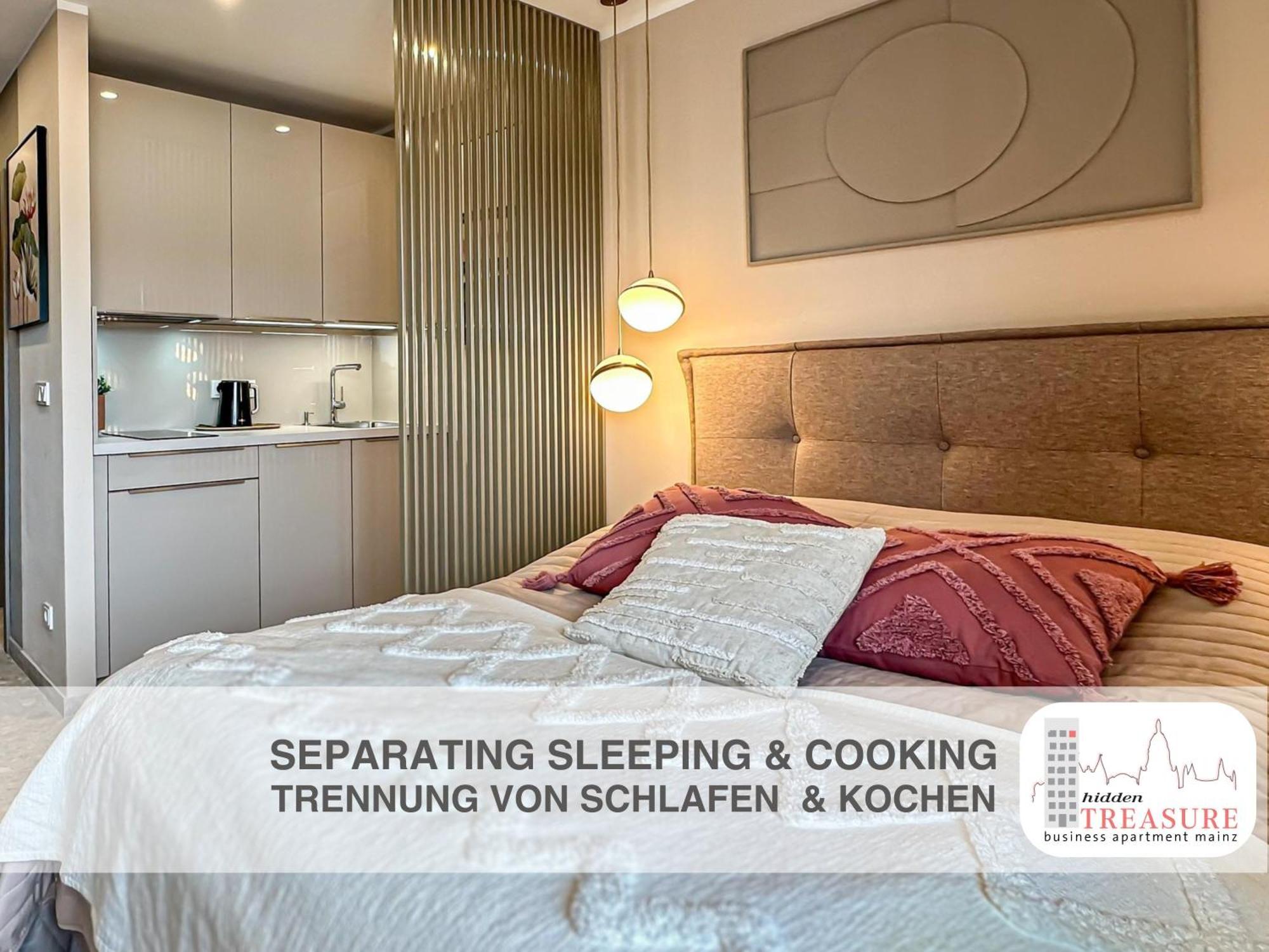 Hidden Treasure Business Apartment Mainz - Fantastic Rhine View In Center Of Mainz Old Town Екстер'єр фото