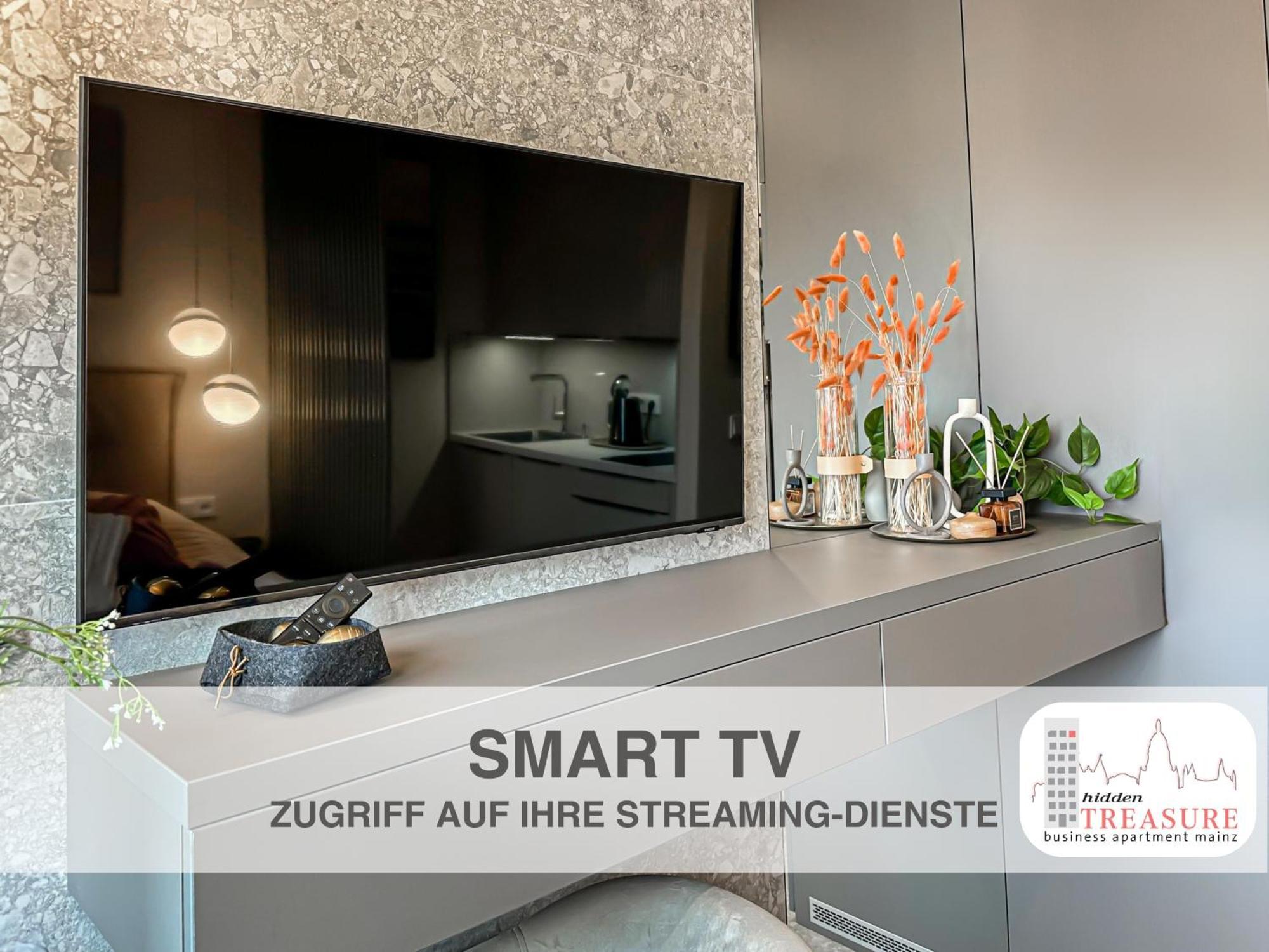 Hidden Treasure Business Apartment Mainz - Fantastic Rhine View In Center Of Mainz Old Town Екстер'єр фото