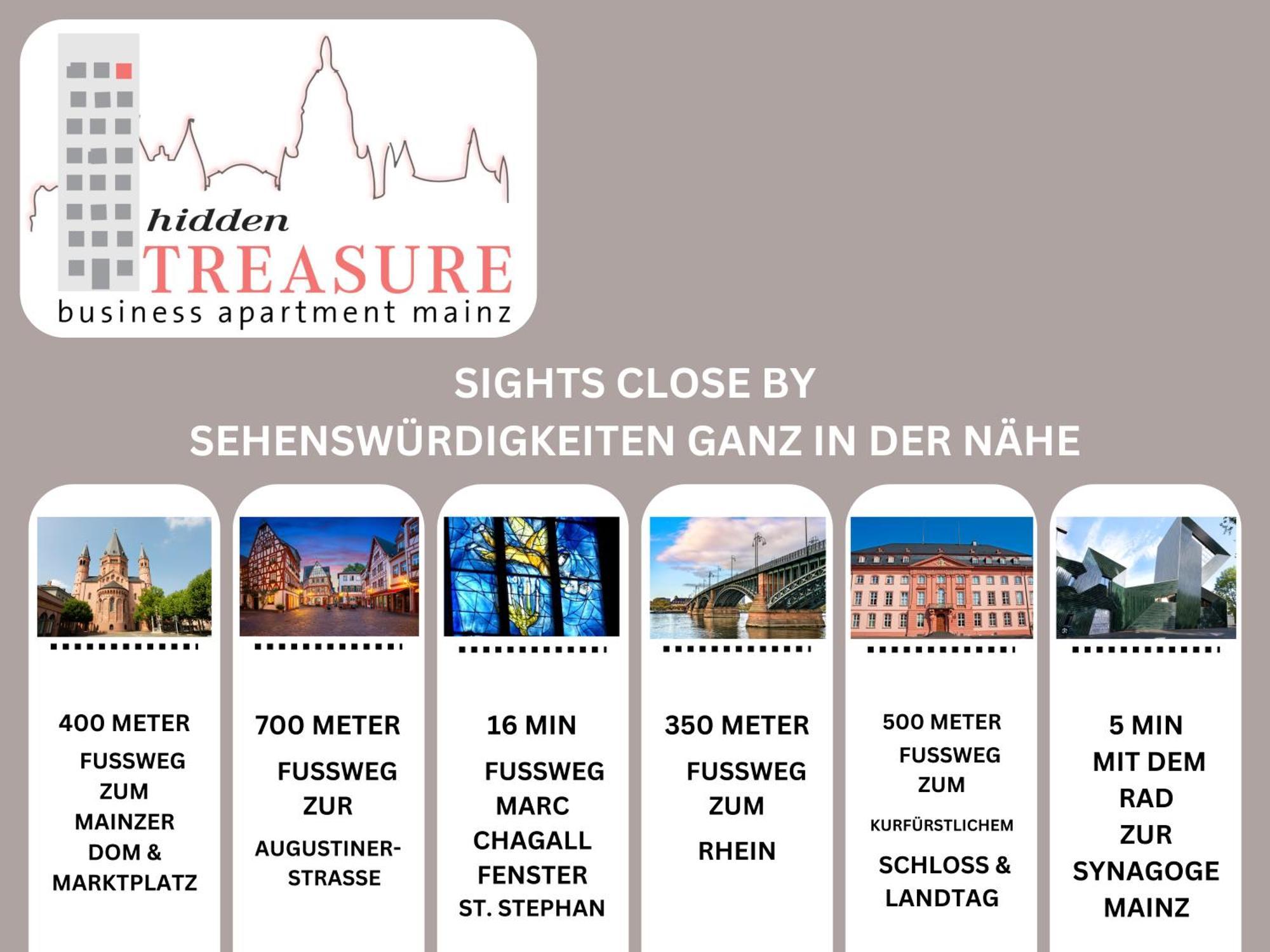 Hidden Treasure Business Apartment Mainz - Fantastic Rhine View In Center Of Mainz Old Town Екстер'єр фото